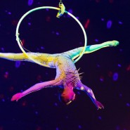 Цирковое шоу «Звездный круиз» 2022-2023 фотографии