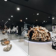 Интерактивная выставка «Гиганты вечной мерзлоты» фотографии