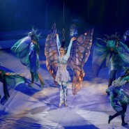 Фото: circus-sochi.ru