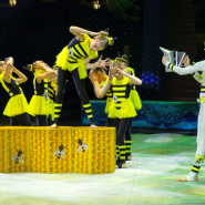 Фото: circus-sochi.ru