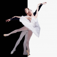 Фото: sochi.kassy.ru