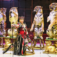 Фото: circus-sochi.ru