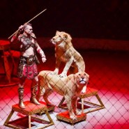 Цирковое шоу «Королевский цирк Гии Эрадзе» 2018 фотографии