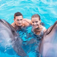 Плавание с дельфинами в Сочи фотографии