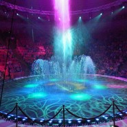 Шоу цирка Никулина «Водная феерия» 2023 фотографии