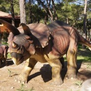 Парк динозавров «Затерянный мир» фотографии
