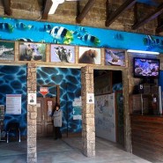 Сочинский «Аквариум и Морской зоопарк» фотографии