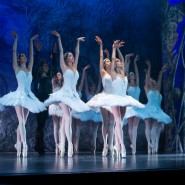 Имперский русский балет «Лучшее» 2023 фотографии