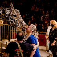 Фото: circus-sochi.ru