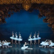 Фото: vk.com/spb_ballet_theatre