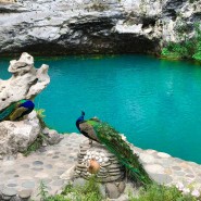Экскурсия «Абхазия — страна души: Гагры, Рица, Новый Афон» фотографии