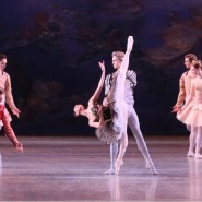 Гала-концерт балета к 200-летию Мариуса Петипа 2018 фотографии