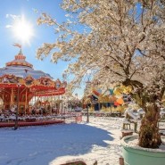 Зима в Сочи Парке 2021 фотографии