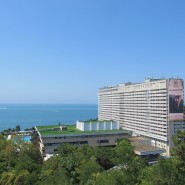 Фото: Niklitov, Wikimedia Commons, CC BY-SA 4.0