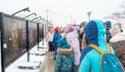 Выставка «Мусореализм»