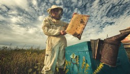 Всероссийская фотовыставка «Россия. Идеи для путешествий»