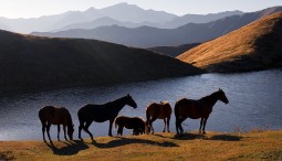 Фотовыставка «Северный Кавказ. Семь историй»