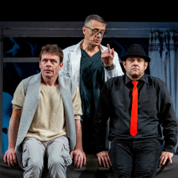 Спектакль «Доктор знает всё»