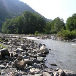 Нарзанный источник «Чвижепсе»