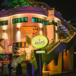 Бар «Agave»