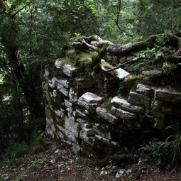 Хостинская крепость