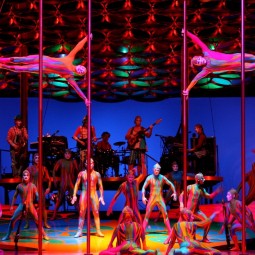 Шоу Cirque du Soleil «Totem» 2017