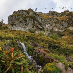 Эко-тропы горного курорта «Горки Город»