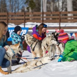 Хаски-центр