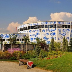 Дельфинарий в «Сочи Парке»