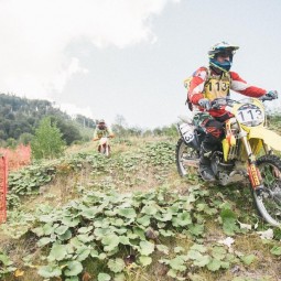 Motul King of the Hill 2018