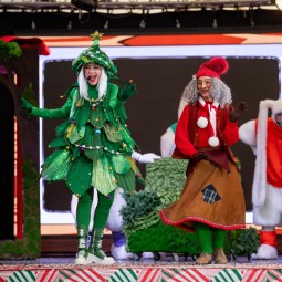 Новогодние чудеса в Сочи Парке 2025-2026