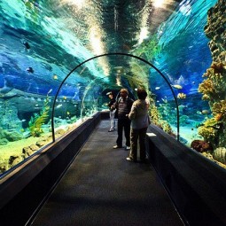 Сочинский океанариум