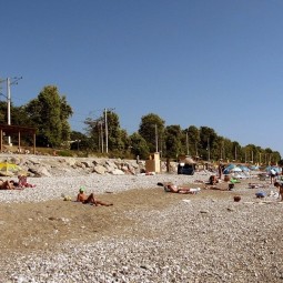 Пляж «Дельфин»