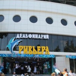 Большой Сочинский Дельфинарий