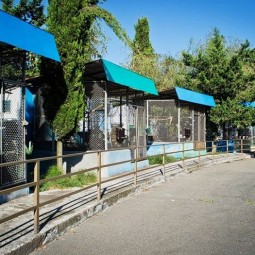 Питомник обезьян