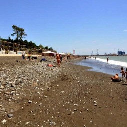 Пляж «Альбатрос»