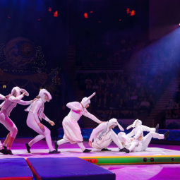 Фестиваль циркового искусства «Обыкновенное чудо необыкновенных детей» 2026