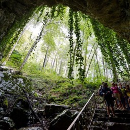 Воронцовские пещеры