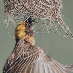 Выставка «Зачарованные миры»