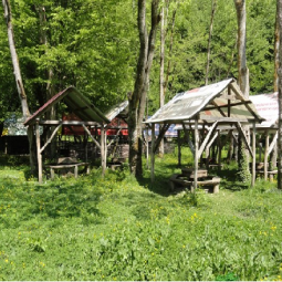 Пикниковая зона «Бархатная поляна»