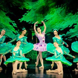 Балет «Спящая красавица» 2019