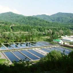 Форелевое хозяйство в горах