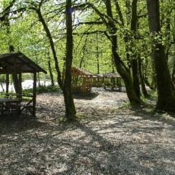 Пикниковая поляна «Медвежий угол»