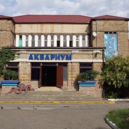 Сочинский «Аквариум и Морской зоопарк»