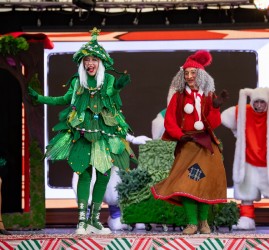 Новогодние чудеса в Сочи Парке 2025-2026