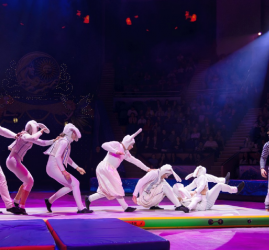 Фестиваль циркового искусства «Обыкновенное чудо необыкновенных детей» 2026