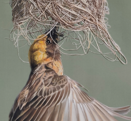 Выставка «Зачарованные миры»