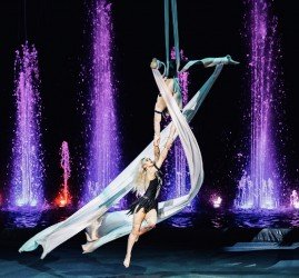 Цирк Никулина на Цветном бульваре в Сочи Парке 2022