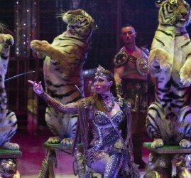 Цирковое шоу «Королевский цирк Гии Эрадзе» 2022