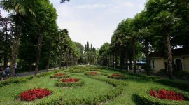 Сочи зимой и в межсезонье: что посмотреть без пляжного отдыха
